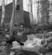Water rushing over a small dam