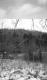 Hogback at the base of the lifts