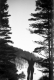 Ski Jumper