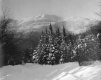 Winter Ski Mountain