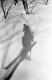 Shadow of a Skier