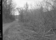 Dirt Road in Pomfret