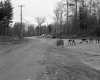 Construction - Rutland