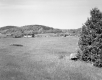 Danville Before Construction