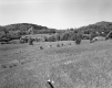 Danville Before Construction