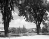 Fairdale Farms