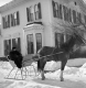 George Hawks in Sleigh