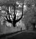 Serene Church Scene