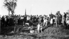 Dedication of Avenue of Elm Trees