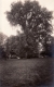 Backyard of Bingham Residence