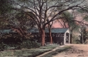 The Old Henry Bridge