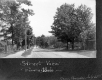 Street View of Forrestdale