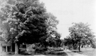Street View of Forrestdale
