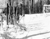 Ski Trail