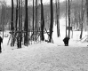 The Base of Ski Trail