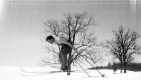 Ski Jumper