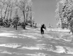 Skier on a Hill