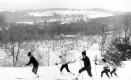 Skiing in the Frost Pasture