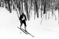 Skiing 