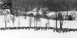 At the Start