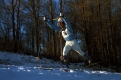 Swedish Skier