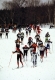 Skiers in January