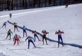 XC Skiers