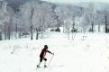 Betsy out for a ski