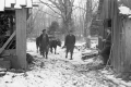 Sugaring operation on South Stream Road