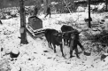 Sugaring in Bennington