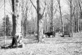 Sugaring in Bennington