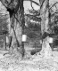 Sugaring in Bennington