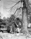Sugaring in Bennington