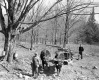 Sugaring in Bennington