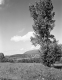 Bennington Landscape Looking North