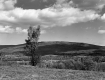 Bennington Landscape Looking East