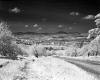 Carpenter Hill