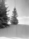 Snow Scene 