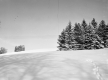 Snow Scene in 1947
