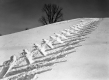 Ski Tracks in Snow