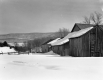 Barns in Winter