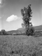 Vermont Landscape