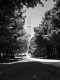 Bennington Monument