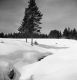 Serene Winter Scene