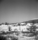 Farm Buildings in 1943