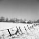 Farm and Buildings