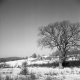 Farm and Buildings in 1945