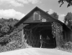 Covered Bridge with Horse and Wagon