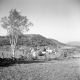 Scene of Farm