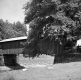 Covered Bridge 